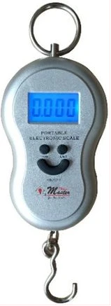 Electro Master Portable Electronic Weighing Scale 50kgs EM-HS-1235 - Silver