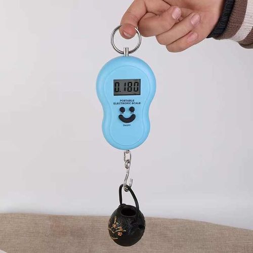 Digital Kitchen Electronic Travel Gourd Compact Portable Smiley Mini Portable Pocket Weighing Scale for Luggage Hanging Hook Weight Scale with Capability of 50 kg- Multicolor