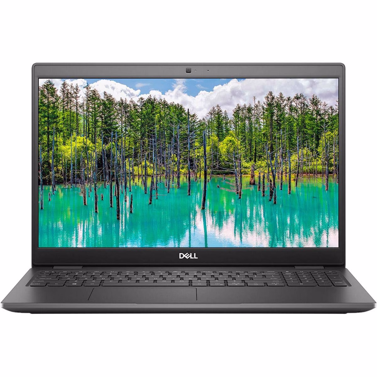 Dell Latitude 3510 Laptop (Intel Core i5-10th Gen, 8GB, 1TB)