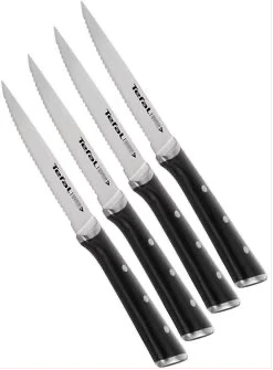 Tefal Stainless Steel steak Knives-set of 4- Ice Force