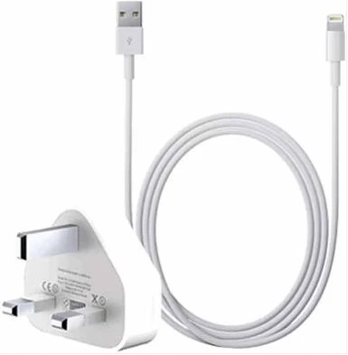 Charger & USB Cable for iPhone - White