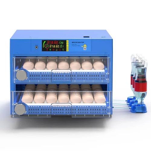 Blue Diamond – 120 Egg Automatic Dual Voltage Mini Egg Incubator Fully Automatic Hatcher