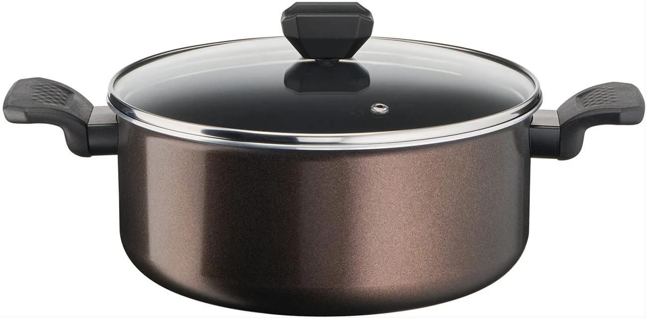 Tefal Easy Cook & Clean B5544602 Cooking Pot 24 cm (4.7 L) with Lid Suitable for All Heat Sources Except Induction