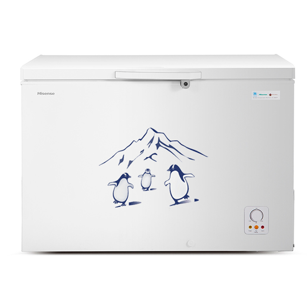 Hisense 400L Chest Freezer | FC-40DT4SB1 Hisense