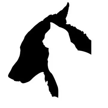 Autonálepka Pes a Kočka Nálepky Vozidlo Náklaďák Nárazník Okno Stěna Zrcadlo Dekorace