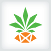 Pineapple Logo Template