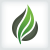 Green Leaf Logo
