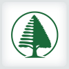 Pine Tree Logo Template