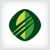 Stylized Leaf Logo Template