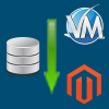 Database Migration from VirtueMart to Magento