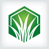 Lawn Care  Logo
