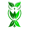 Green Leaf Owl Logo Design