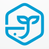 Hexagon Whale Logo