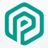 Letter P Hexagon Logo Design Vector v10