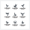 Collection of Flying Bird Logos