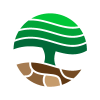 Modern Minimal Circle Tree Logo Design Environment