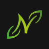 Naturely N Letter Logo Design