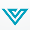 Letter V  Logo