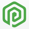 Letter P Hexagon Logo v09