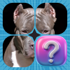 Dogs Puzzle - Flutter Sliding Puzzle Game