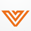 Letter  V Logo