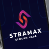 The Dynamic Stream of Maximum Strategy Logo
