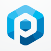 Pro Hexagon Letter P Logo